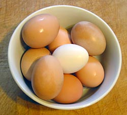 eggs from Jocelyn's chickens!